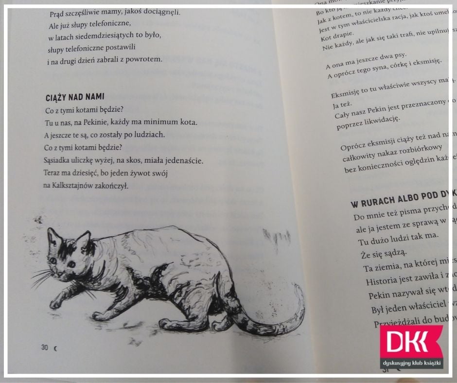 Fragment książki z grafiką kota